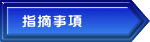 指摘事項
